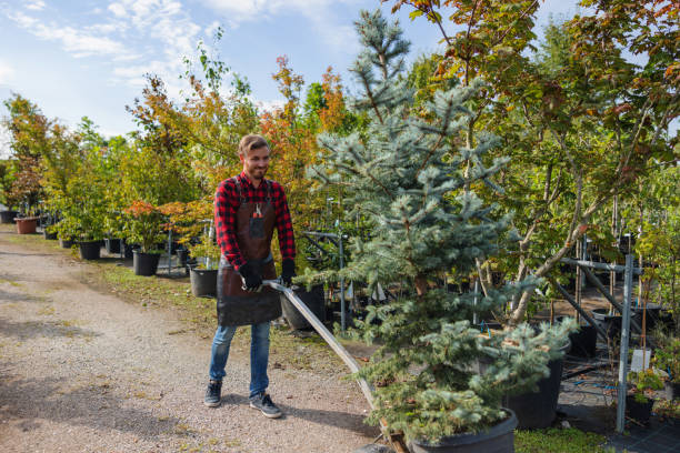 Best Fruit Tree Pruning  in Newport, DE